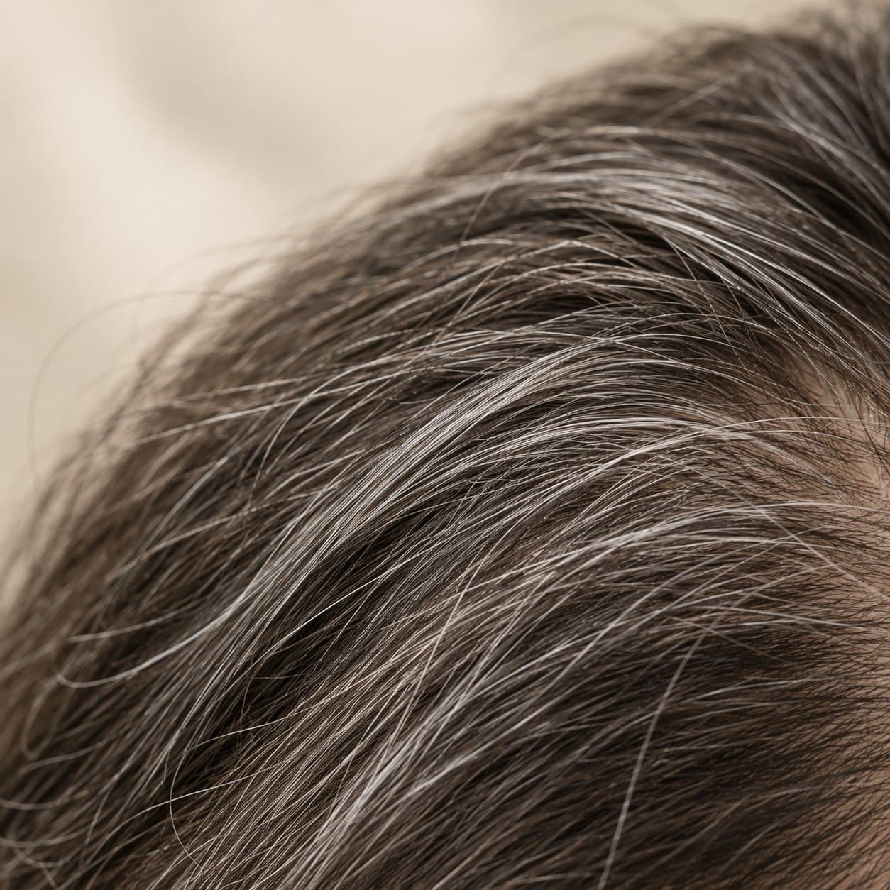 Macro of naturally gray strands