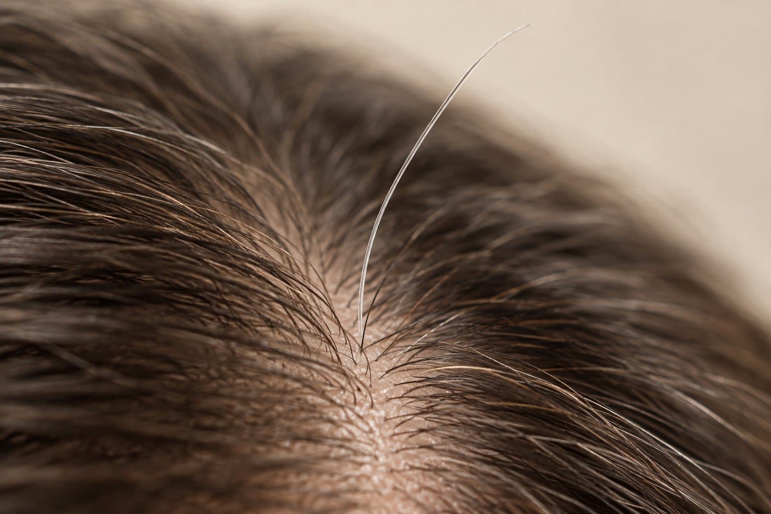 Macro of naturally gray strands