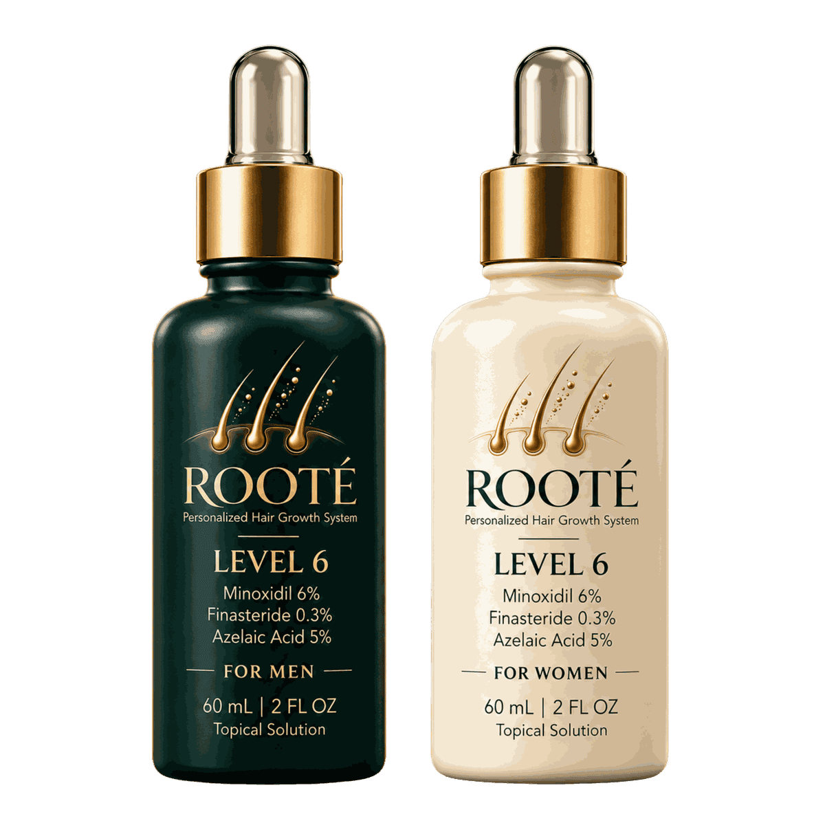 ROOTÉ Level 6